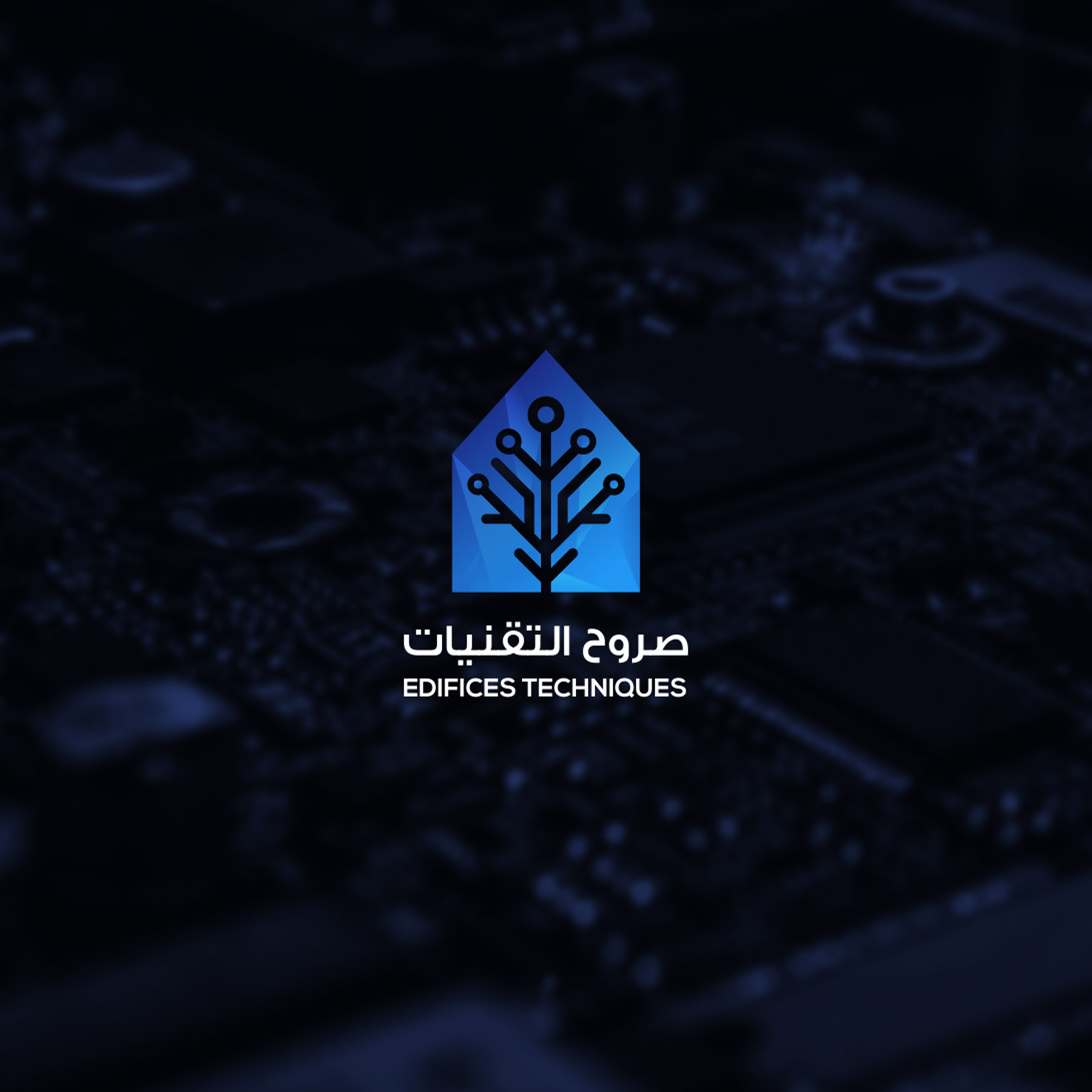 تصميم شعار شركة ايزي ديجتال قيمة وجودة وإطلق مشروعك كالمحترفين